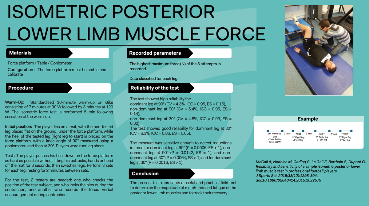 Isometric Posterior Lower Limb Muscle Force