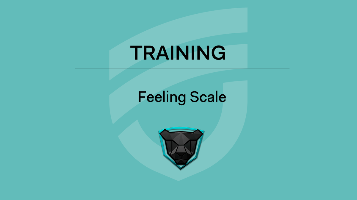 TRAINING - Feeling Scale