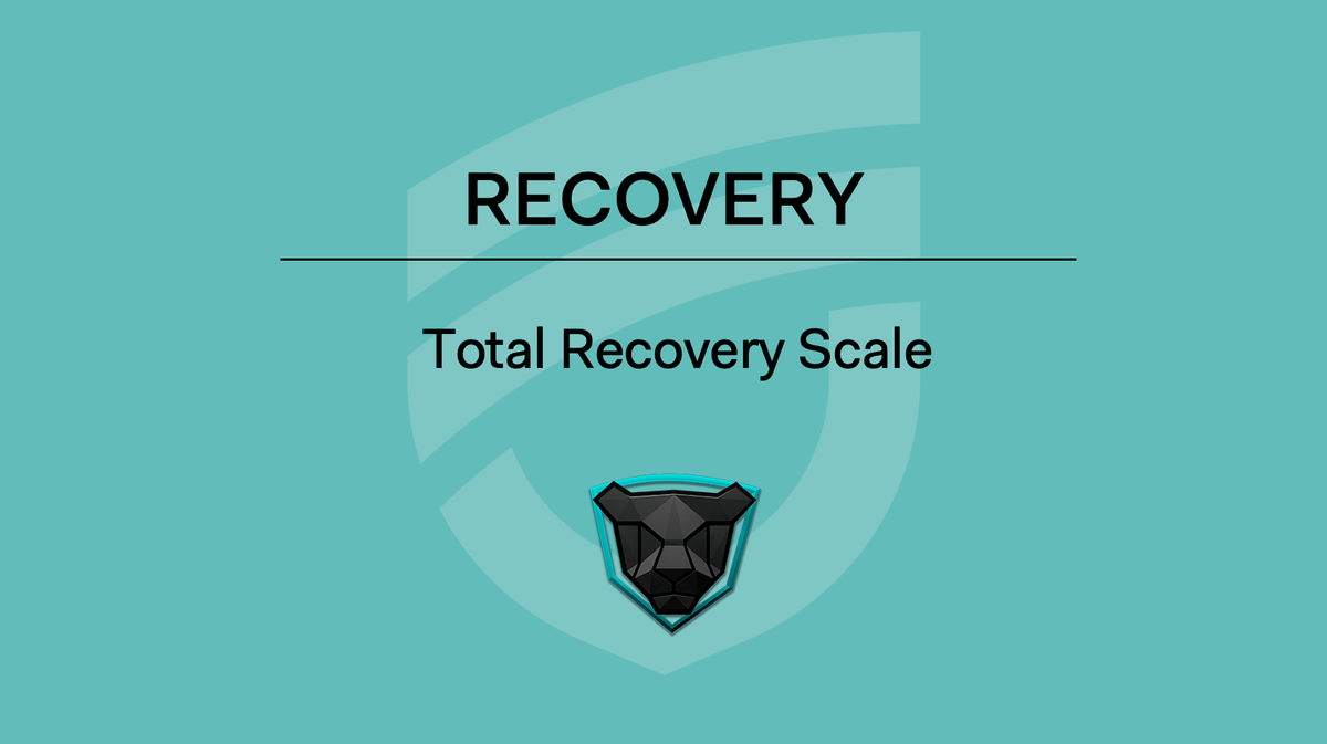RECOVERY - Total Recovery Scale
